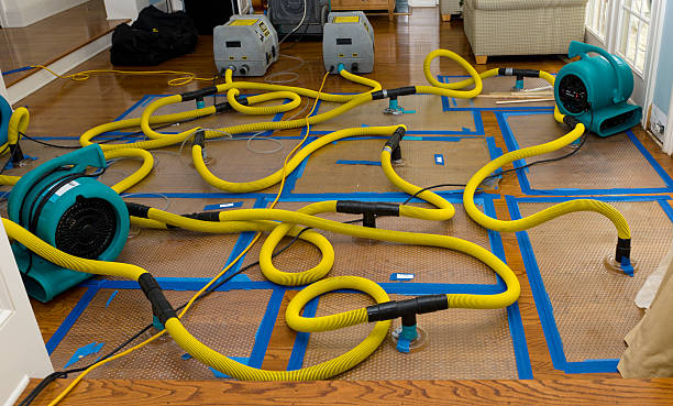 Professional Water Damage Repair technician working in West Forks, ME
